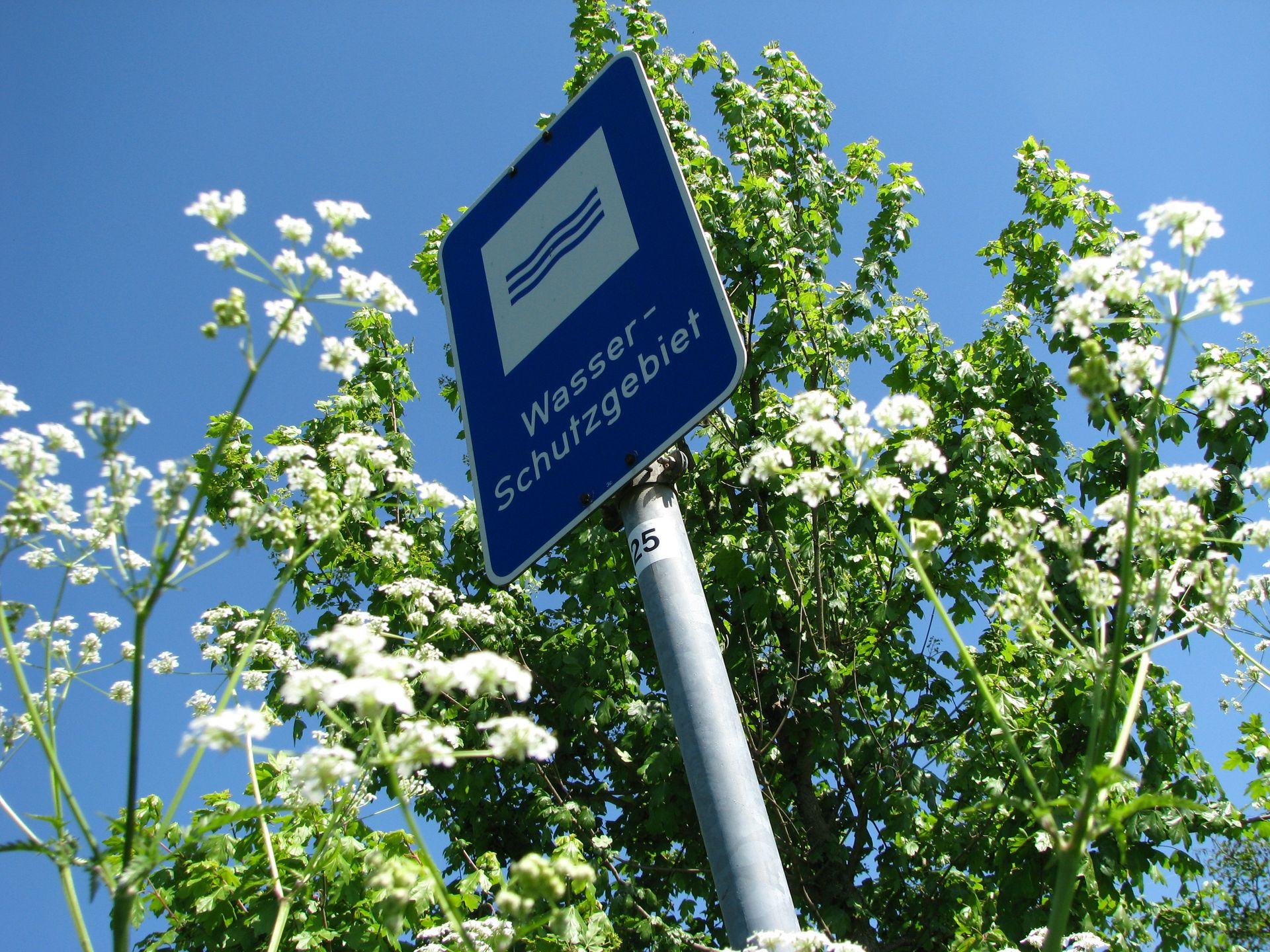 ZVG Dieburg Brunnen – Wasserschutzgebiet